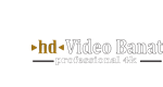 Custom Logo